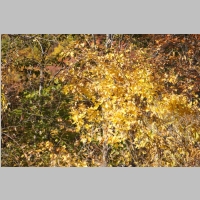 pict120.jpg