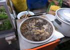 pict264