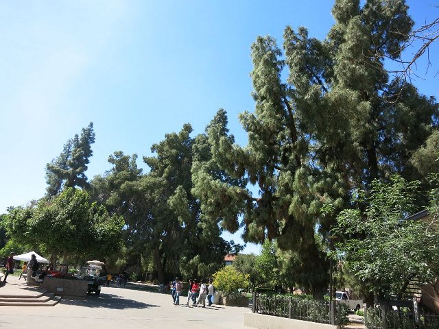 pict064