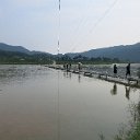 pict010