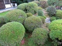 pict034