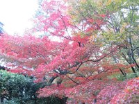 pict041