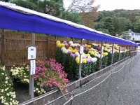 pict056