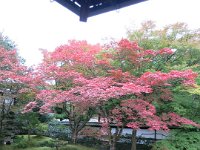 pict064