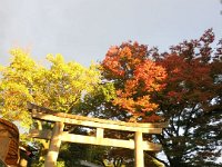 pict080