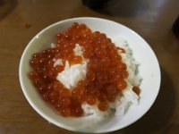 pict004