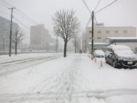 pict003