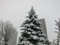 pict004