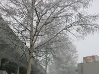 pict006