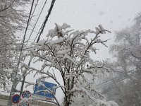 pict009