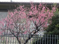 pict073
