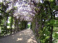image0040
