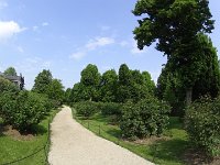 image0041