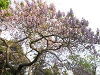 image0102