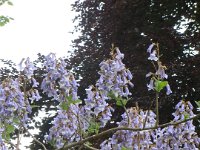 image0103