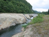 IMG 0355