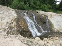 IMG 0370