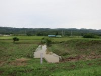 pict074