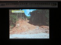 photo061