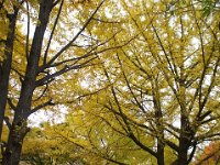 pict016