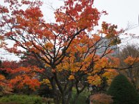 pict019