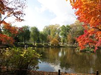 pict008