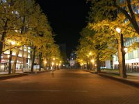 pict050
