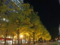 pict052