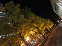 pict053