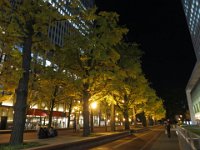 pict054