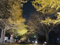 pict018
