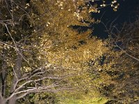 pict037