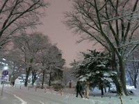 photo001
