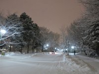 photo002