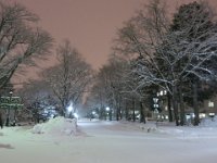 photo003