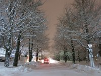 photo004