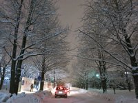 photo005