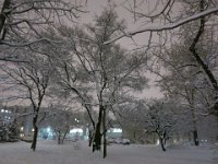 photo006