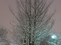 photo007