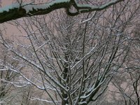 photo008