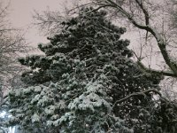 photo009
