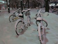 photo011