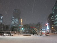 photo012