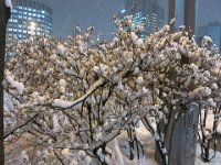 photo014