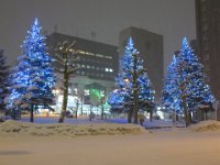photo016