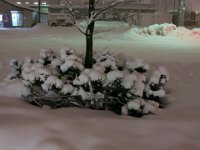 photo017