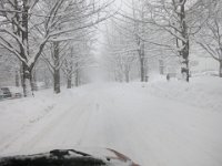 photo031
