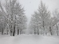 photo033
