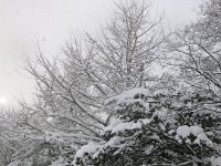 photo035