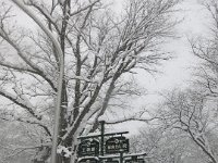 photo036
